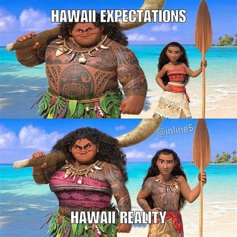 hawaii meme